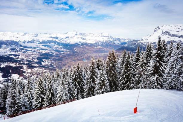 istock Snow covered firs valley of Mont-Blanc Chamonix 1210298963