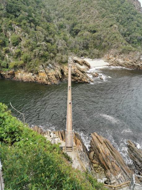 istock Storm river suspension bridge in South Africa 1210299736