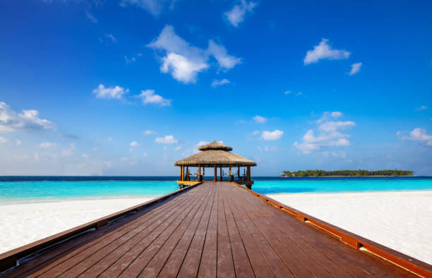 istock jetty on beautiful maldivian beach 1210301993