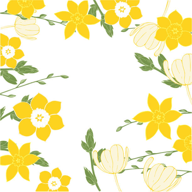 ilustraciones, imágenes clip art, dibujos animados e iconos de stock de fondo floral vectorial con flores de primavera. - isolated on yellow illustrations