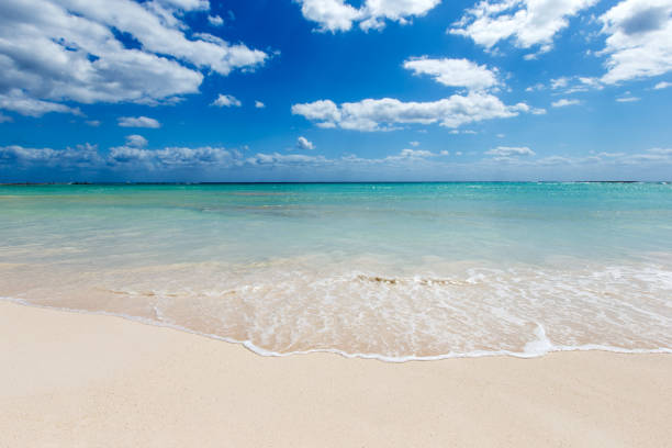 istock beach and tropical sea 1210306711