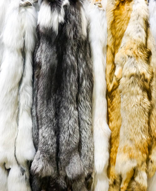 istock Dark marble artic and red fox furs 1210307488