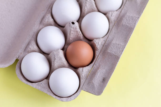 istock Top view of chicken eggs in an egg box on yellow. Fresh chicken eggs with copy space. The concept of natural healthy food and organic farming. White and one brown egg in a box 1210309101