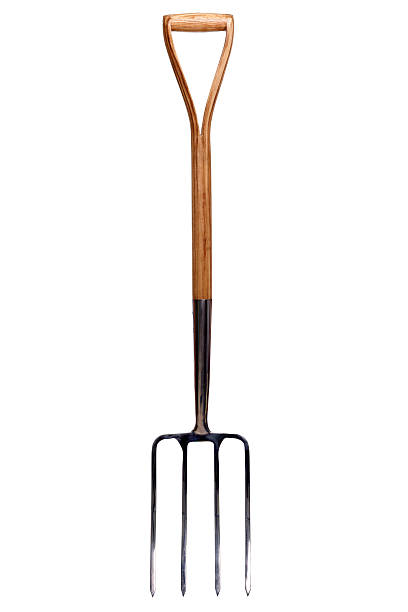 A large gardening fork on a white background Photo of a gardening fork isolated on a white background. hand rakes stock pictures, royalty-free photos & images