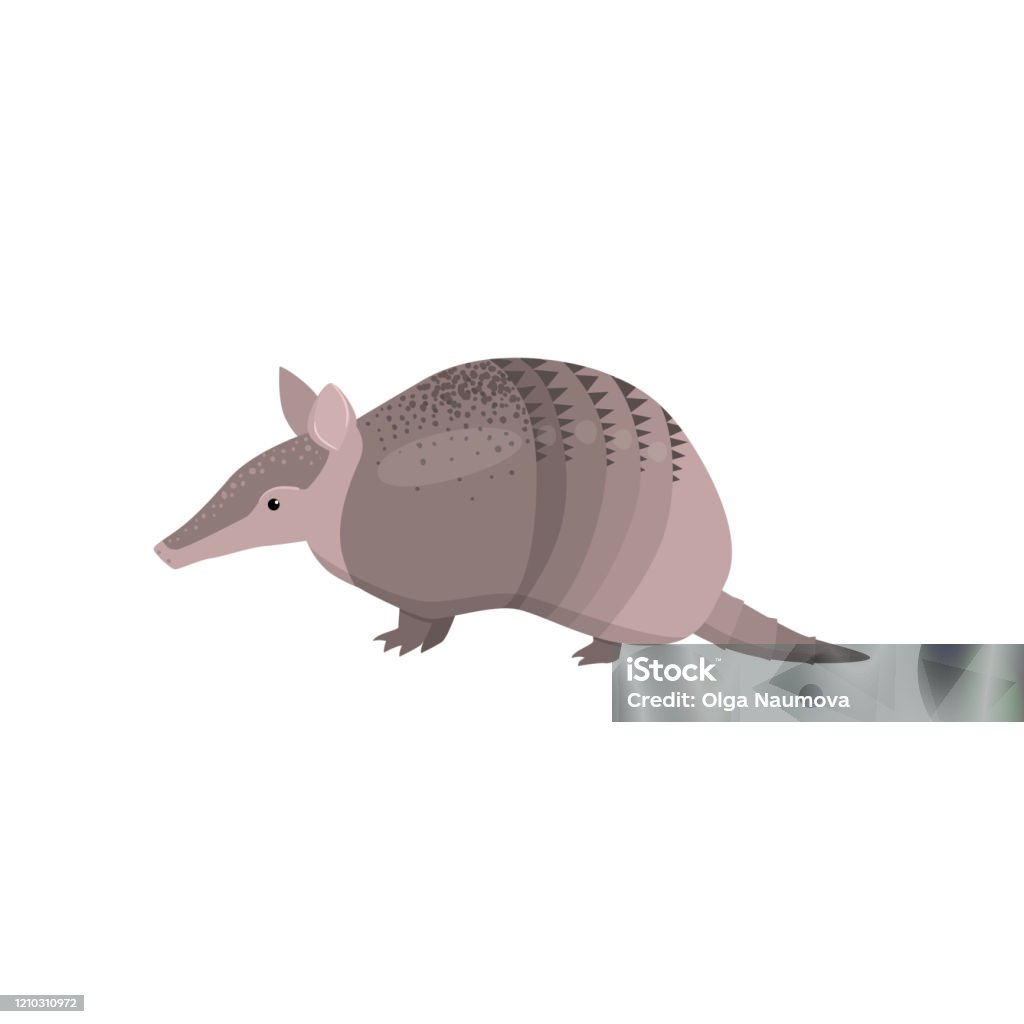 Banded armadillo transparent isolated on white background - Royalty-free Tatu arte vetorial