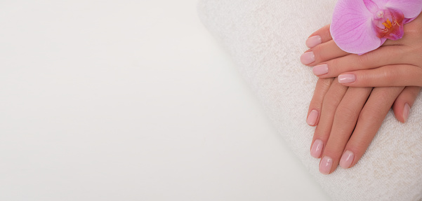 Female hands with perfectly done french manicure.