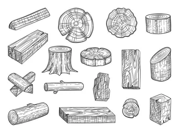 Vector illustration of Lumber. Wooden trunks branch oak stacked log from tree vector hand drawn set
