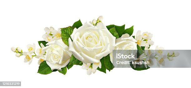 istock Twigs of Jasmine flowers and roses in a line arrangement 1210331219
