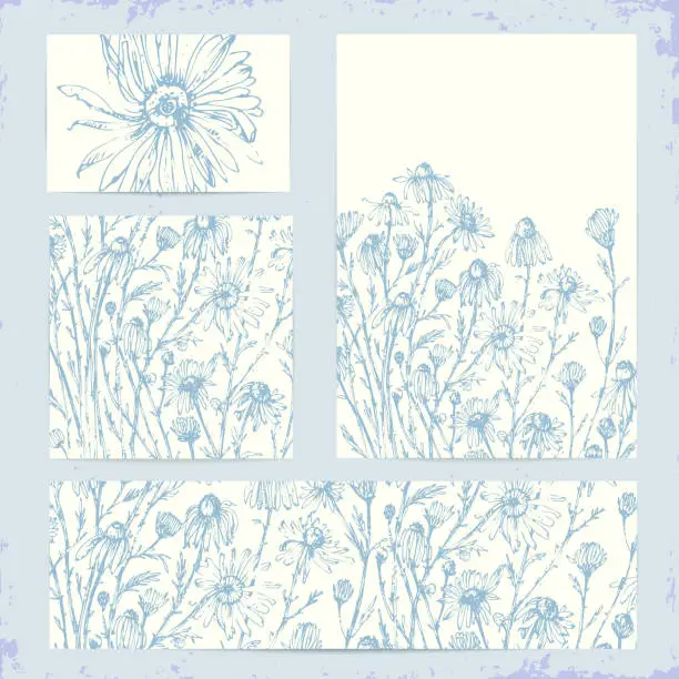 Vector illustration of Wild daisy flowers, daisy buds in floral pattern stationary set