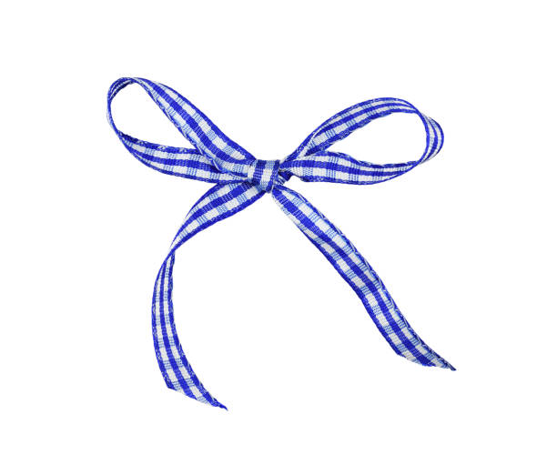 istock Blue checkered satin ribbon bow 1210331792