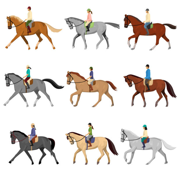 ilustrações de stock, clip art, desenhos animados e ícones de man and woman riding horse isolated against white background - horseback riding illustrations