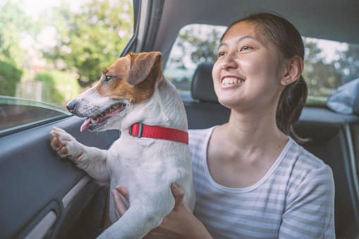 Asian girl with their pet dog relaxing and spending time together from window car at outdoors