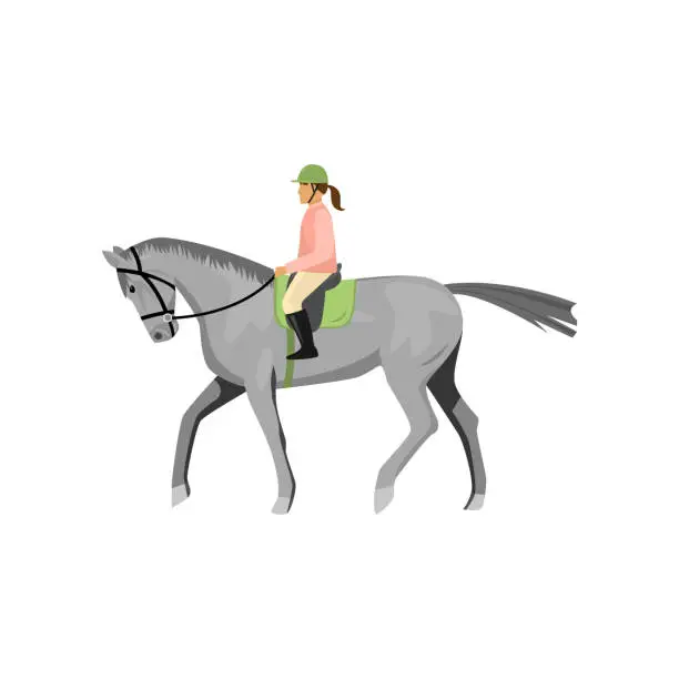 Vector illustration of Woman riding gray jogging horse isolated against white background
