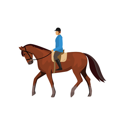 Male jockey riding horse isolated against white background. Horseracing guy. Athlete doing equestrian, taking part in competitions. Man preparing animal for race, training thoroughbred brown mustang