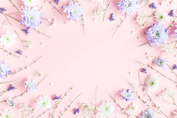 istock Flowers composition. White and purple flowers on pink background. Spring concept. Flat lay, top view, copy space 1210334626