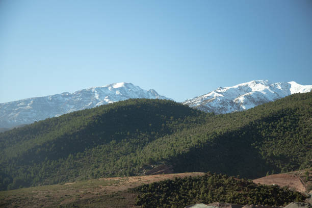 istock Forest and mountain landscape with blue sky background 1210335597