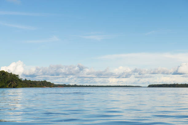 istock Colombian Guainia 1210336167