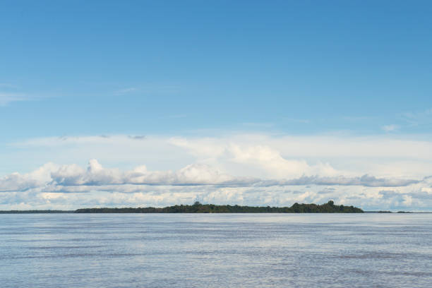 istock Colombian Guainia 1210336246