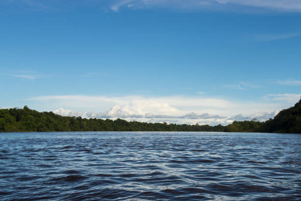 istock Colombian Guainia 1210336501