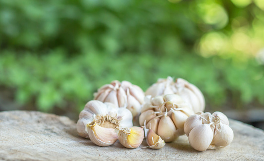 Garlic Cloves and Bulb in vintage wooden table.