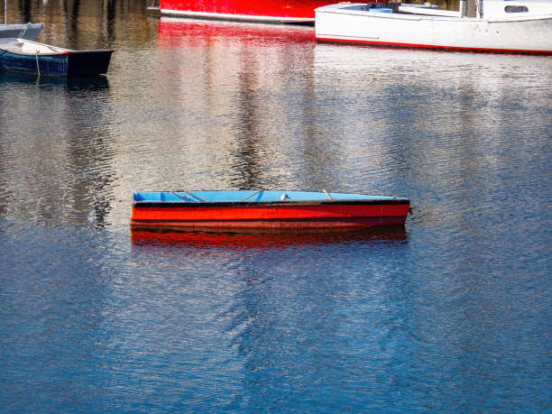 istock rowboat on the water with seagull 1210338405