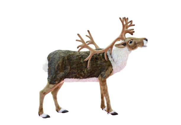istock Reindeer doll for christmas and wintern theme isolated on white background. 1210339901