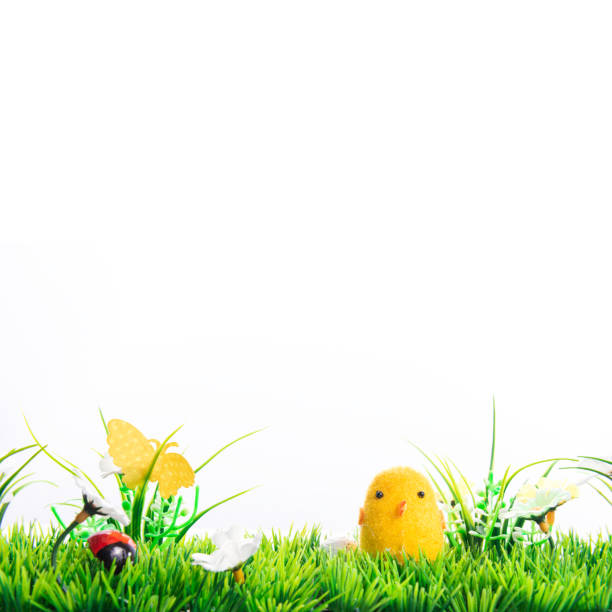 Happy Easter eggs in a row among the spring grass with flowers on an isolated white background, frame, border, egg characters with funny eyes, Happy Easter concept, Easter theme, chicken, postcard,