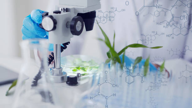 biotechnology concept. food tech. nutritional science. - research chemistry dna formula imagens e fotografias de stock