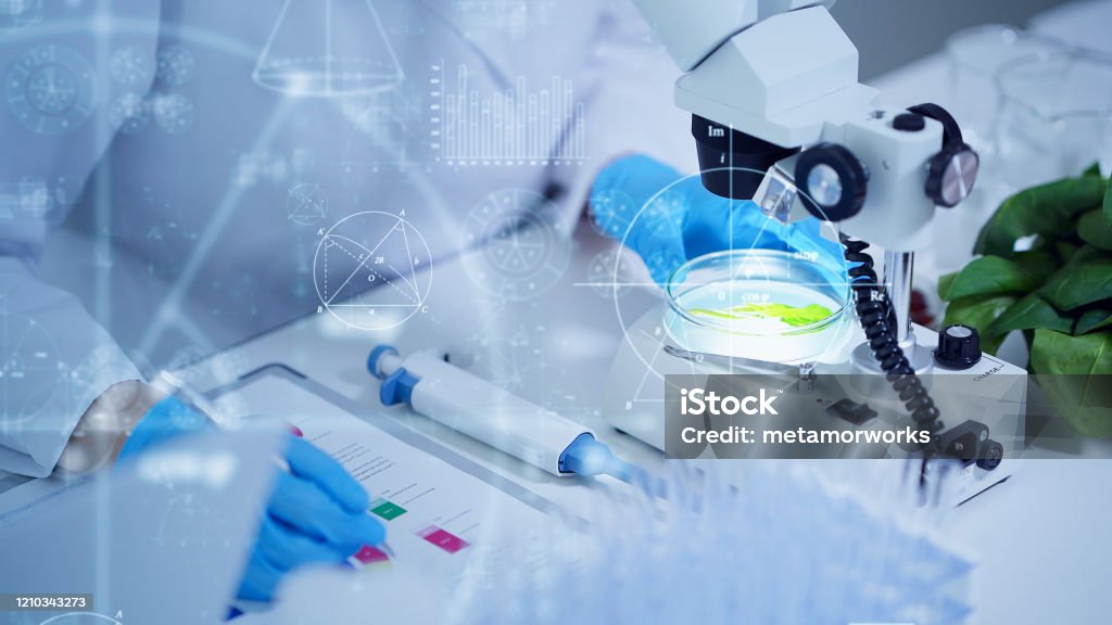 Biotechnology concept. Food tech. Nutritional science. Food Stock Photo