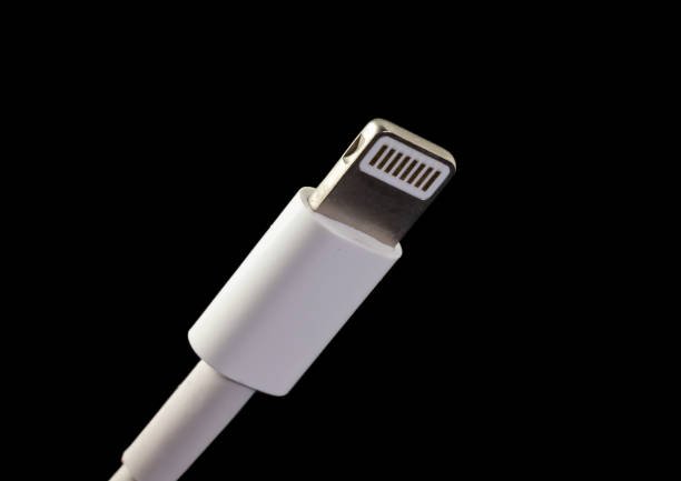Lightning connector isolated. Charging and data transfer plug for smartphones and other devices.