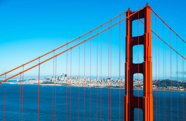 a través de los cables del puente golden gate - golden gate bridge san francisco county san francisco bay bay fotografías e imágenes de stock