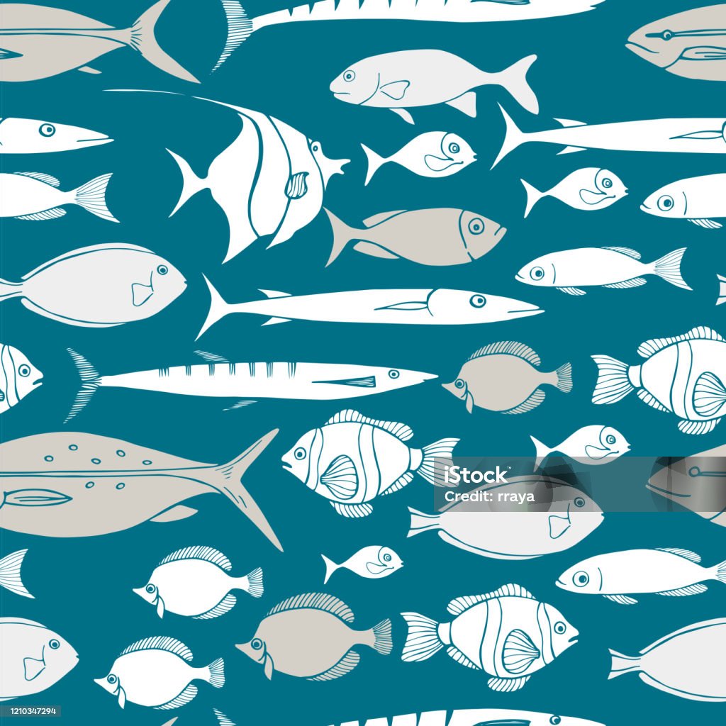 Plan Fish Vector Sea Fish Vector Pattern Stock Illustration - Download Image Now ...
