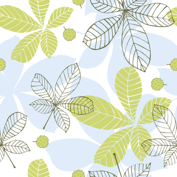 ilustrações de stock, clip art, desenhos animados e ícones de leaves of chestnut. vector  pattern. - chestnut tree