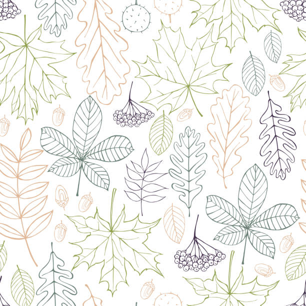 wektorowy bezszwowy wzór z liśćmi. - chestnut chestnut tree backgrounds seamless stock illustrations