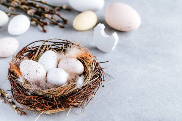 istock Easter eggs in the nest on gray stone  background, copy space. 1210349821