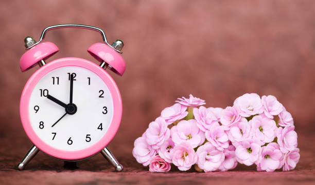 istock Alarm clock and flowers on pink background with copy space, banner 1210350867