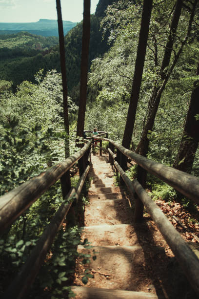 istock High angle view of staircase in forest 1210351046