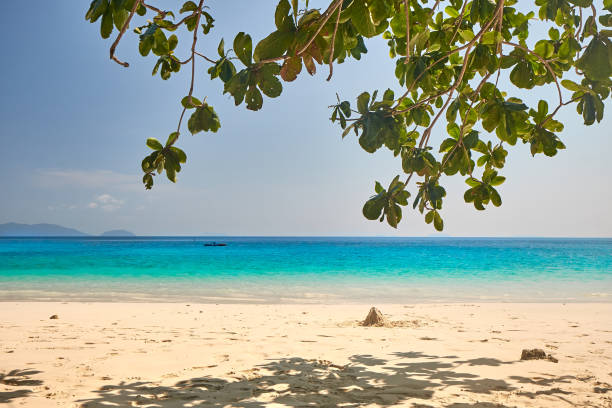 istock Background for seascape, viewing to the sea 1210353256