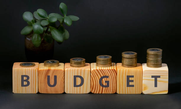 istock Budget growth concept. Coins on cubes with the word budget 1210355955