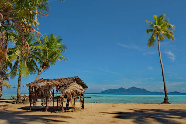 istock Wild beaches of the Pacific ocean 1210357298