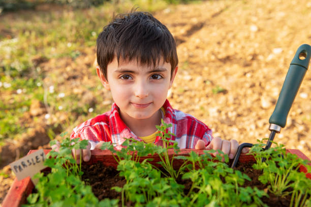 istock young child with parsley 1210357447