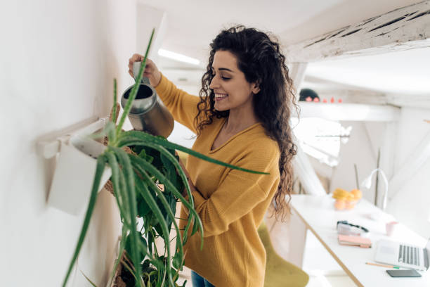 istock Young woman watering plants at her home 1210357698