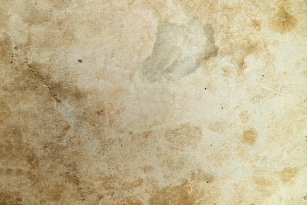 istock Texture of the old paper sheet 1210357813