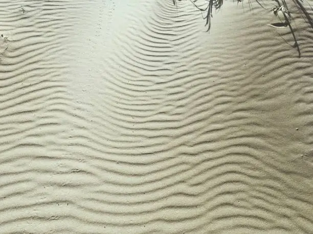 Sandprints