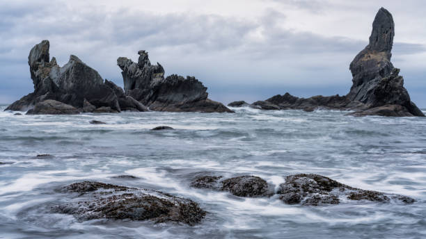 istock Sea Stacks Along The Ocean At Shi Shi Beach 1210361177