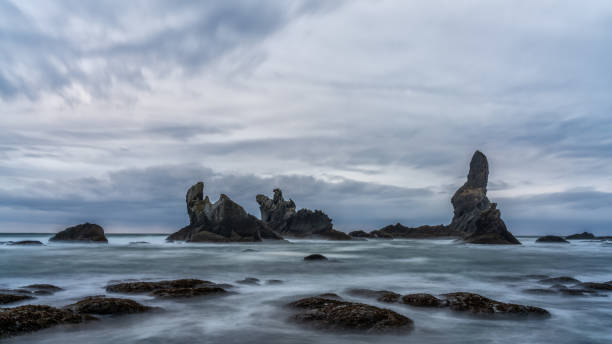 istock Sea Stacks Along The Ocean At Shi Shi Beach 1210361178