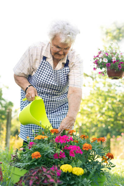 istock Flowers watering in garden 1210362841