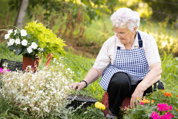 istock Gardening and senior people concept 1210363486