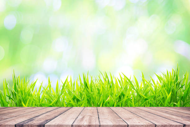 istock Fresh green grass with bokeh sunlight and wooden floor 1210366475