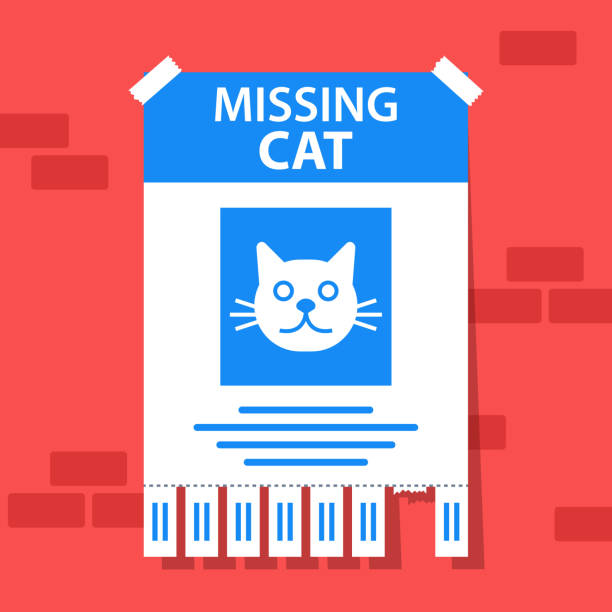 ilustraciones, imágenes clip art, dibujos animados e iconos de stock de la declaración de la desaparición de un gato amado. el animal fugitivo está en peligro - lost pet